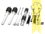 11,5L Tank chrom / ViAir Kompressor chrom, fest, weiss, nicht passend für xDrive, Stahl verzinkt, Eintragungspflichtig / Teilegutachten wird nach Kauf spezifisch ausgestellt